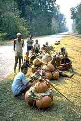 Tharu potters on the road